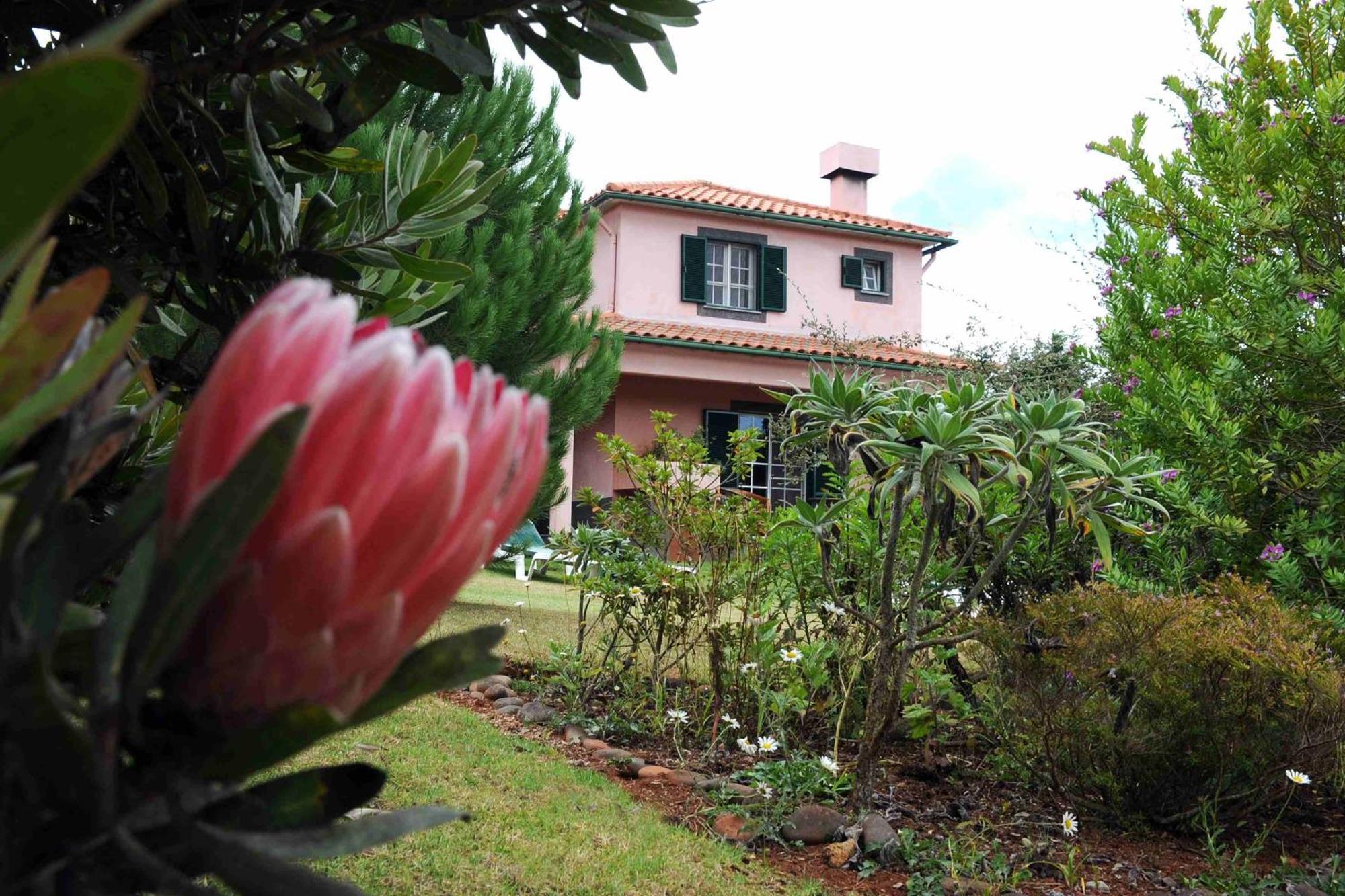 Quinta Santo Antonio Da Serra Luaran gambar